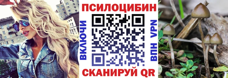 Галлюциногенные грибы GOLDEN TEACHER  Жердевка 